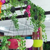 2+2 FREE | PlantLift Pro™ - Elevate Your Plants. Simplify Your Life.