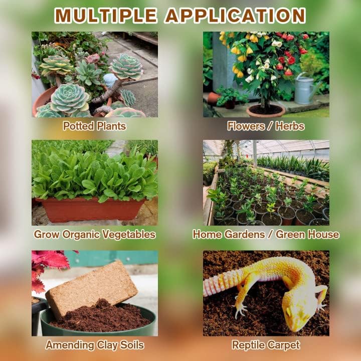 2+2 FREE | Coconut Coir Bricks - Grow Better, Grow Faster, Grow with Coir!