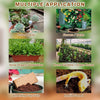 2+2 FREE | Coconut Coir Bricks - Grow Better, Grow Faster, Grow with Coir!