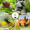 5+5 Free | PlantShield™ — Defend and Boost Plant Growth Fast!