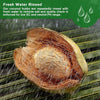 2+2 FREE | Coconut Coir Bricks - Grow Better, Grow Faster, Grow with Coir!