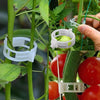 GrowGuard™ — Protect & Boost Your Plants’ Growth | 100PCS