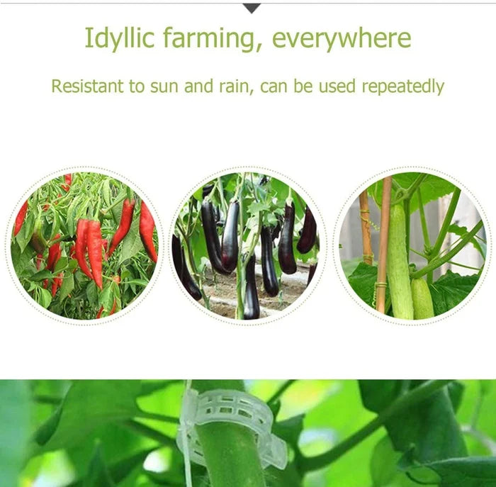 GrowGuard™ — Protect & Boost Your Plants’ Growth | 100PCS