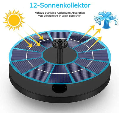 AquaBloom™ — Transform Your Garden into a Bird Paradise | 50% Off