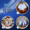 Ultimate Kitchen Rescue Foam — Melt Away Grease and Reveal a Dazzling, Effortless Clean