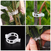 GrowGuard™ — Protect & Boost Your Plants’ Growth | 100PCS