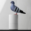 SwiftPure™ — Hands-Free Hygiene That Transforms Your Home Into a Germ-Free Sanctuary