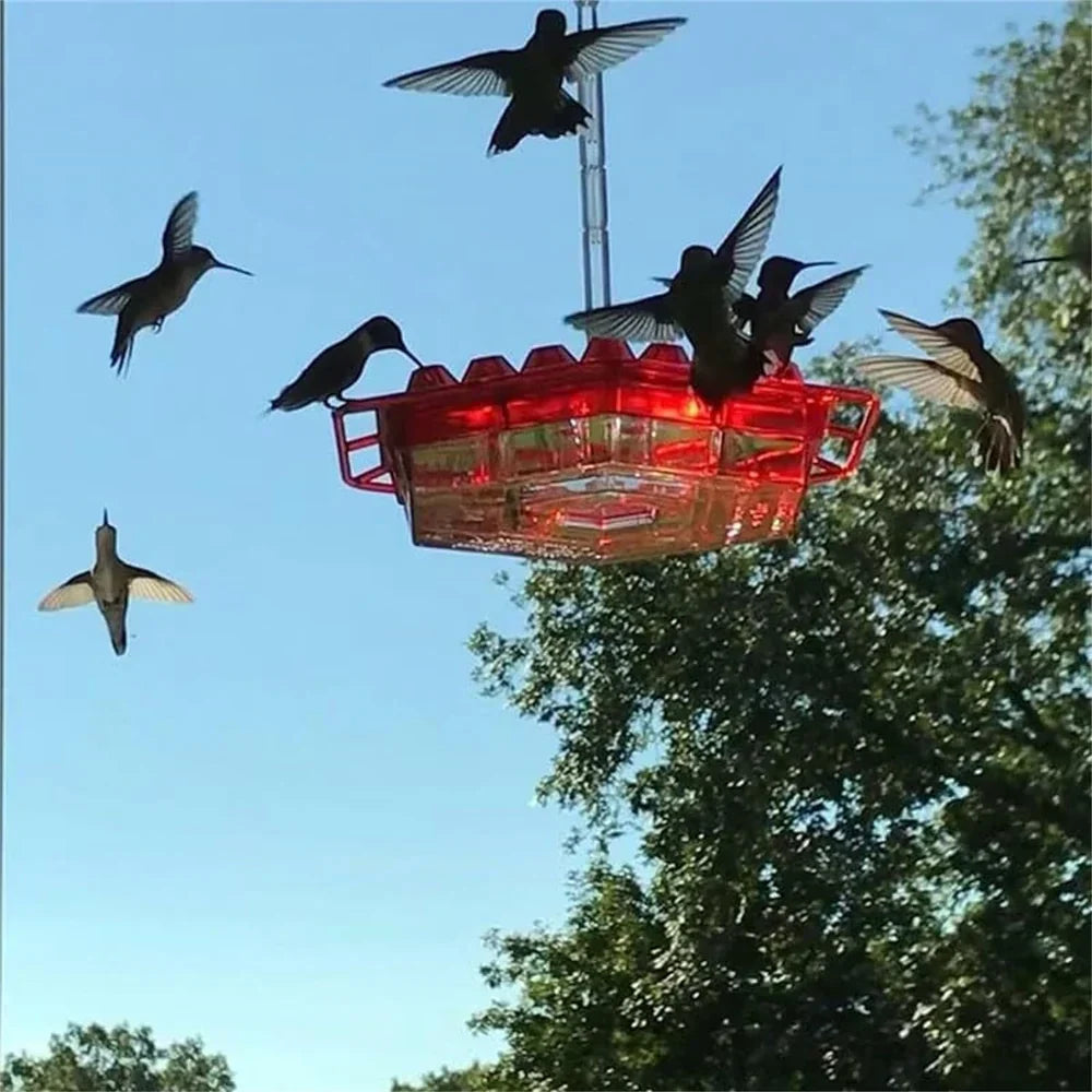 SkySip™ — Fill Your Garden with Joyful Hummingbirds and Pest-Free Nectar Delight
