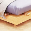 1+1 Free | EasyLift™ - Effortless Bed-Making, No Back Pain!