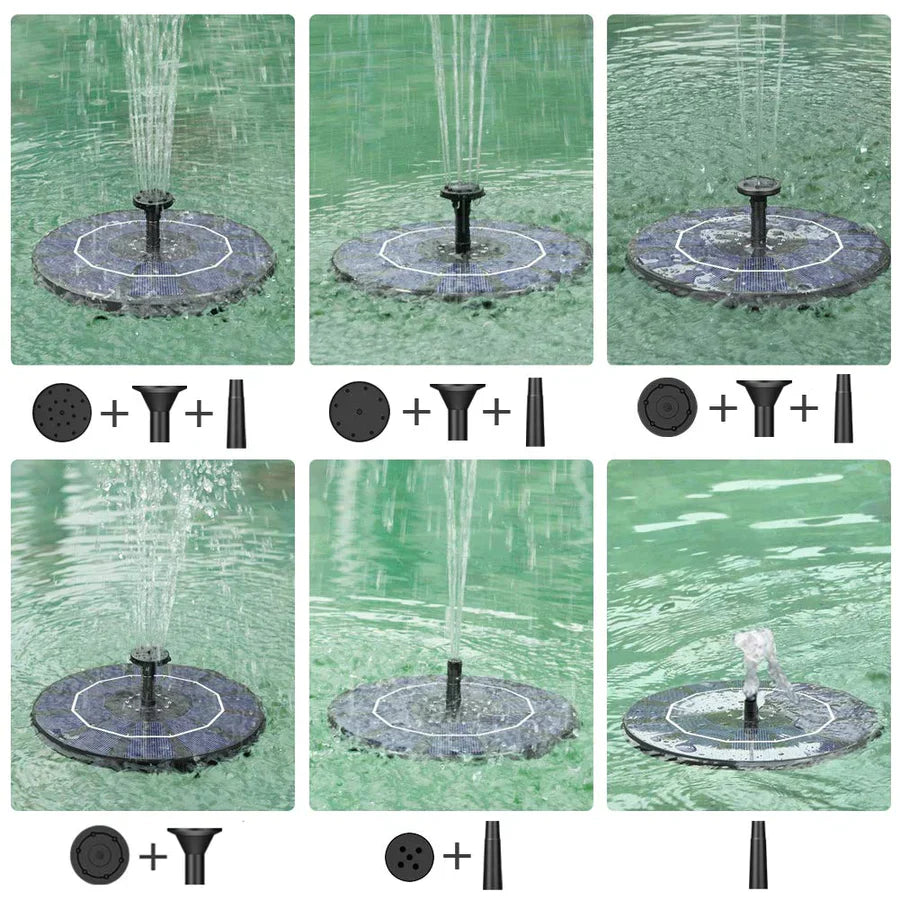 AquaBloom™ — Transform Your Garden into a Bird Paradise | 50% Off