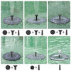 AquaBloom™ — Transform Your Garden into a Bird Paradise | 50% Off
