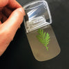 PetalMuse™ — Transform Every Book into a Personal Oasis of Peace and Beauty (20pcs)