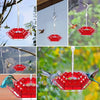 SkySip™ — Fill Your Garden with Joyful Hummingbirds and Pest-Free Nectar Delight