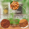 2+2 FREE | Coconut Coir Bricks - Grow Better, Grow Faster, Grow with Coir!