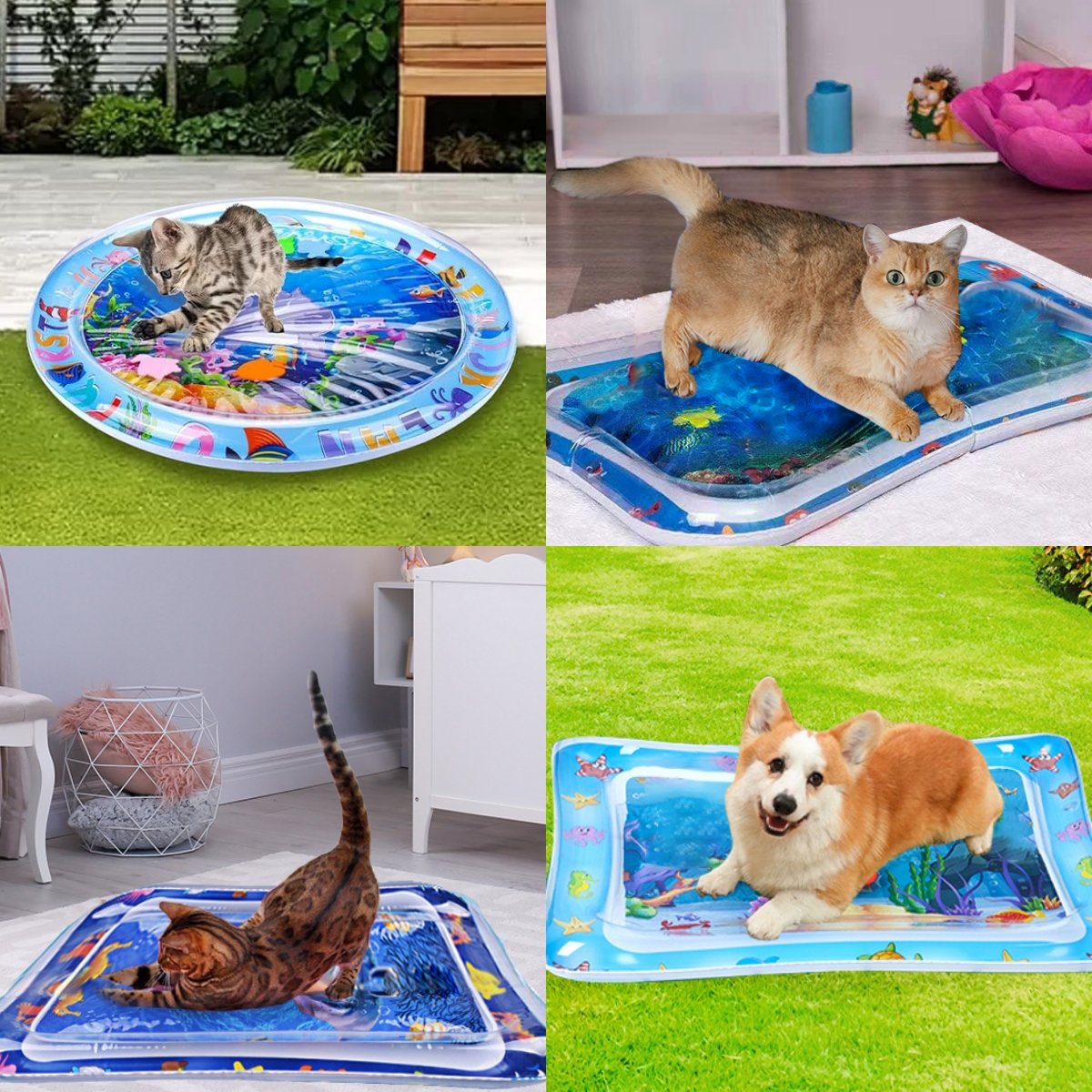 AquaPounce™ — Ignite the wild play instinct and make your cat shine! + Free Pump
