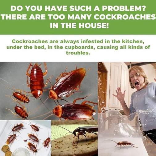 RoachGuard™ – Silent, Safe & Lasting Protection | (8pcs)