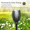 Buy one get one free | FlameGlow Solar Torch - Light the Night – No Fire Needed
