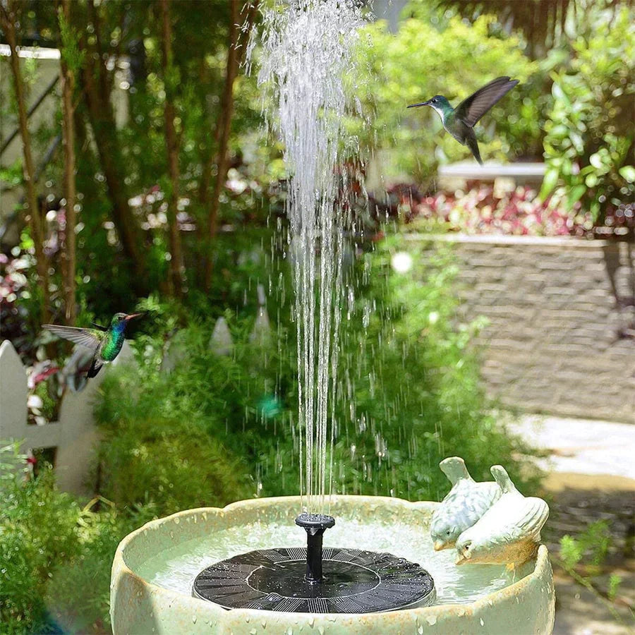 AquaBloom™ — Transform Your Garden into a Bird Paradise | 50% Off