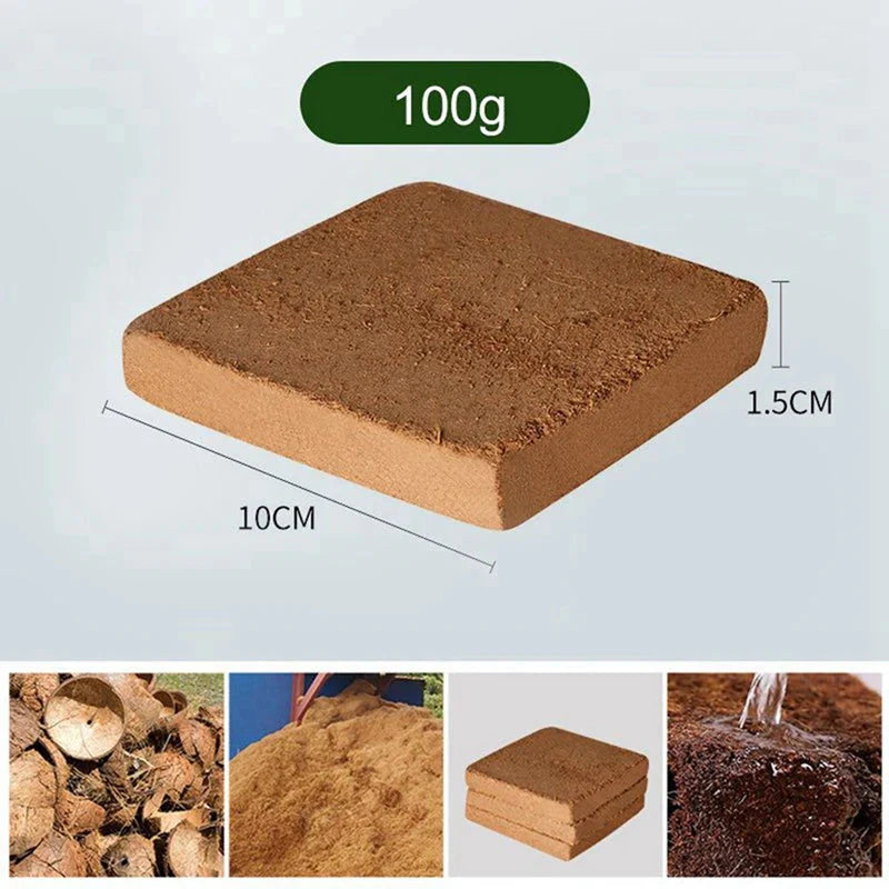 2+2 FREE | Coconut Coir Bricks - Grow Better, Grow Faster, Grow with Coir!