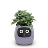 Green Companion - Smart AI Plant Pot with Sensor Technology!