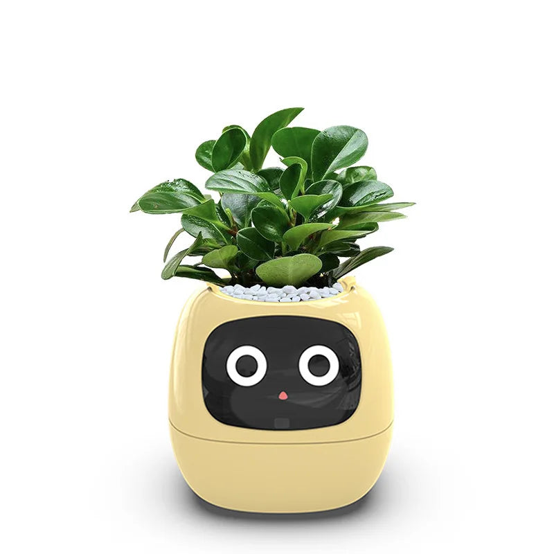 Green Companion - Smart AI Plant Pot with Sensor Technology! – Livoram