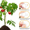 GrowGuard™ — Protect & Boost Your Plants’ Growth | 100PCS