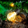 FireLume™ — Always bright, always ready: Your light for every adventure |  1+1 Free