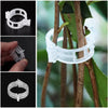 GrowGuard™ — Protect & Boost Your Plants’ Growth | 100PCS
