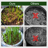 2+2 FREE | Coconut Coir Bricks - Grow Better, Grow Faster, Grow with Coir!
