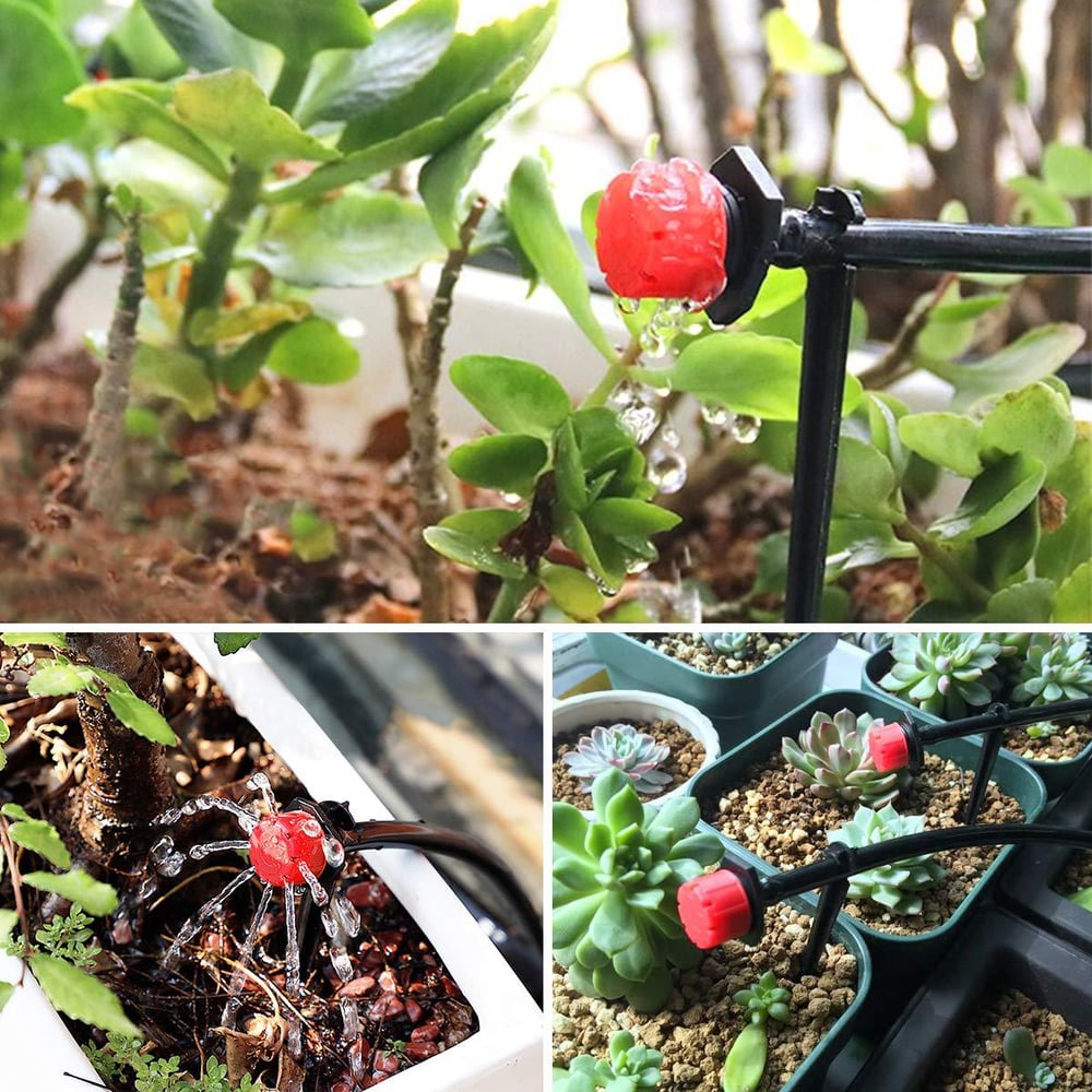 AquaPrecision™ — Perfect Hydration, Thriving Plants Fast | 50+50 FREE