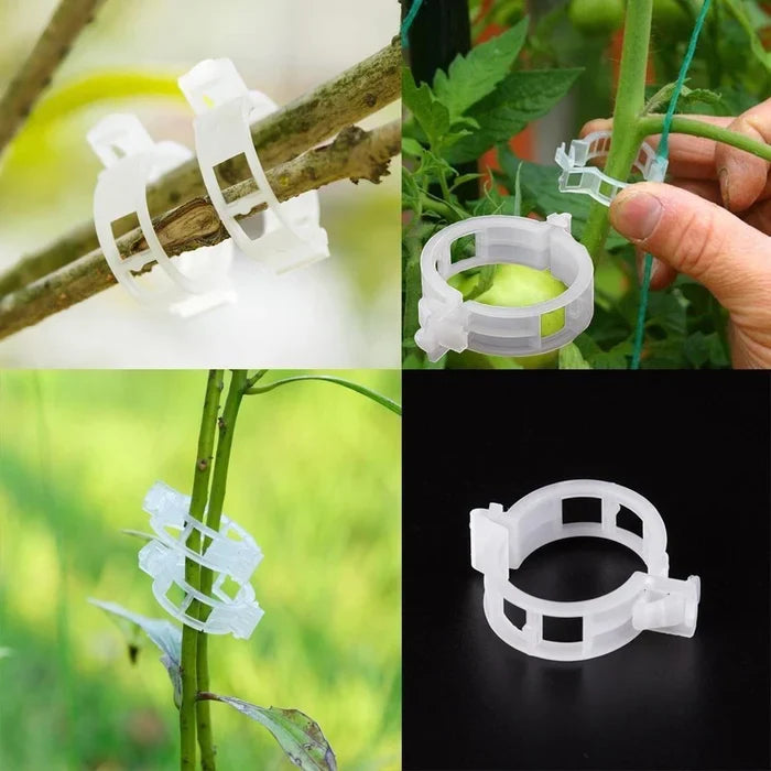 GrowGuard™ — Protect & Boost Your Plants’ Growth | 100PCS