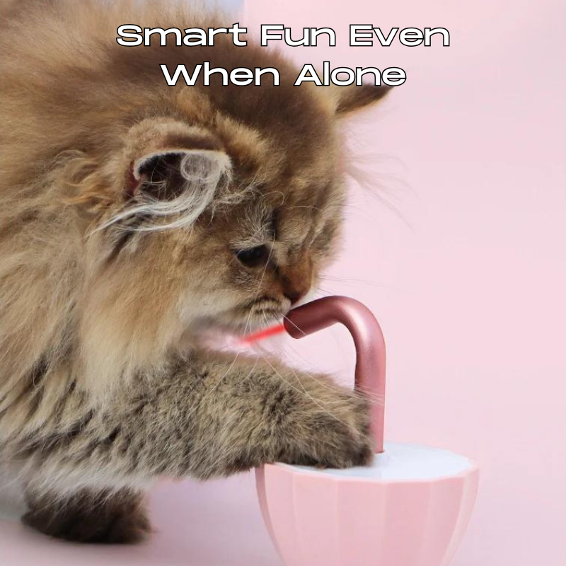 Automatic Laser Toy™ — Keep Your Cat Joyfully Active and Sharp All Day