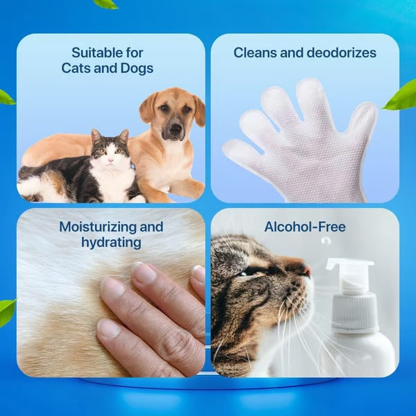 2+2 FREE | PawBreeze™ Gloves — Effortless Grooming for a Fresh, Cuddle-Ready Companion