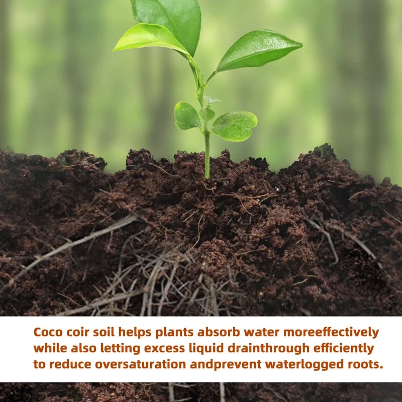 2+2 FREE | Coconut Coir Bricks - Grow Better, Grow Faster, Grow with Coir!