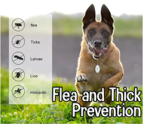 SilentGuard Ultrasonic Tick Defense — Let Your Pet Roam Free Without a Single Pest in Sight | 1+1 Free