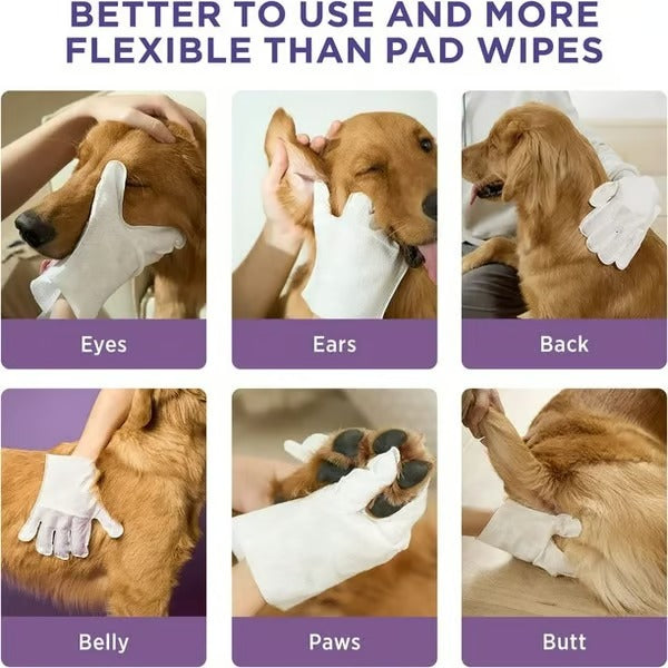 2+2 FREE | PawBreeze™ Gloves — Effortless Grooming for a Fresh, Cuddle-Ready Companion