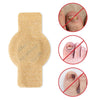 FungiZap™ — Invisible Power for Healthy, Flawless Nails You Can Be Proud of Again | 1+1 Free