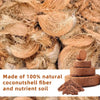 2+2 FREE | Coconut Coir Bricks - Grow Better, Grow Faster, Grow with Coir!