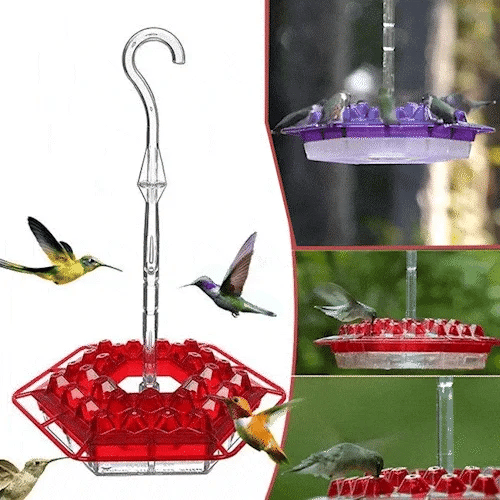 SkySip™ — Fill Your Garden with Joyful Hummingbirds and Pest-Free Nectar Delight