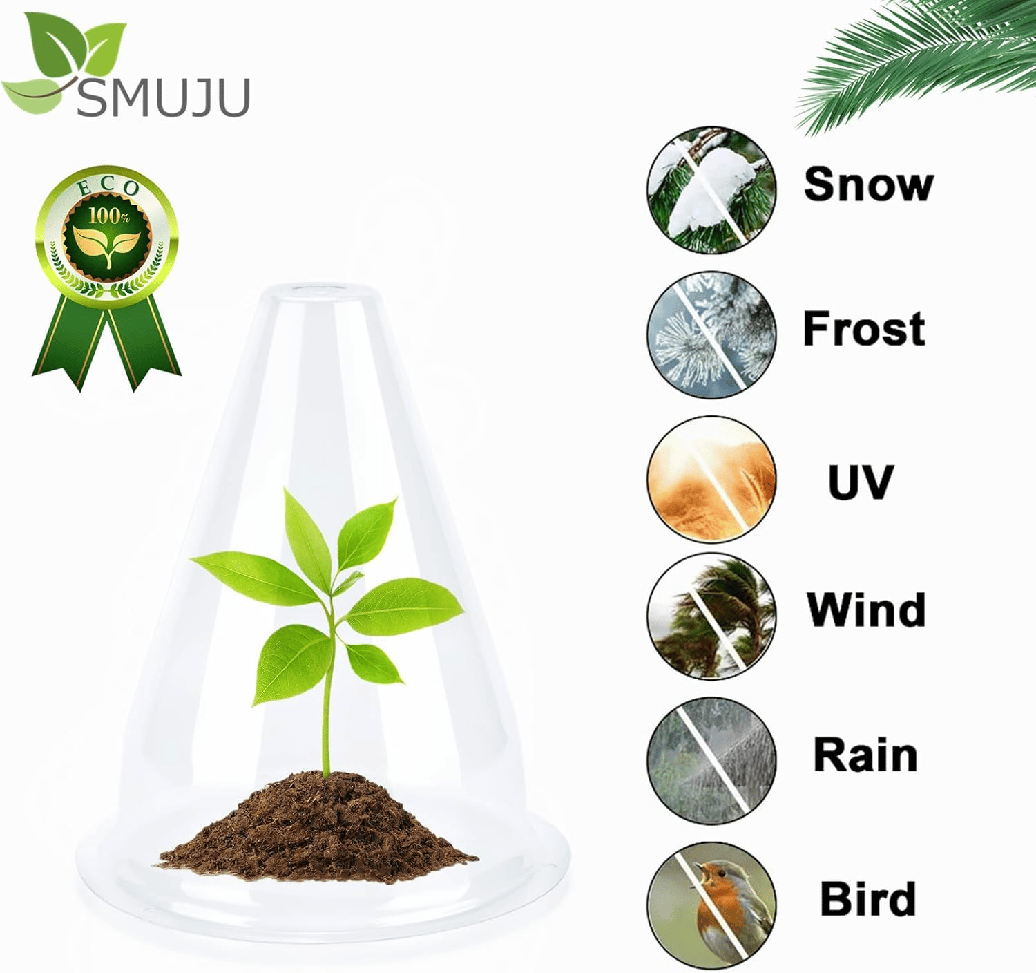 5+5 Free | PlantShield™ — Defend and Boost Plant Growth Fast!