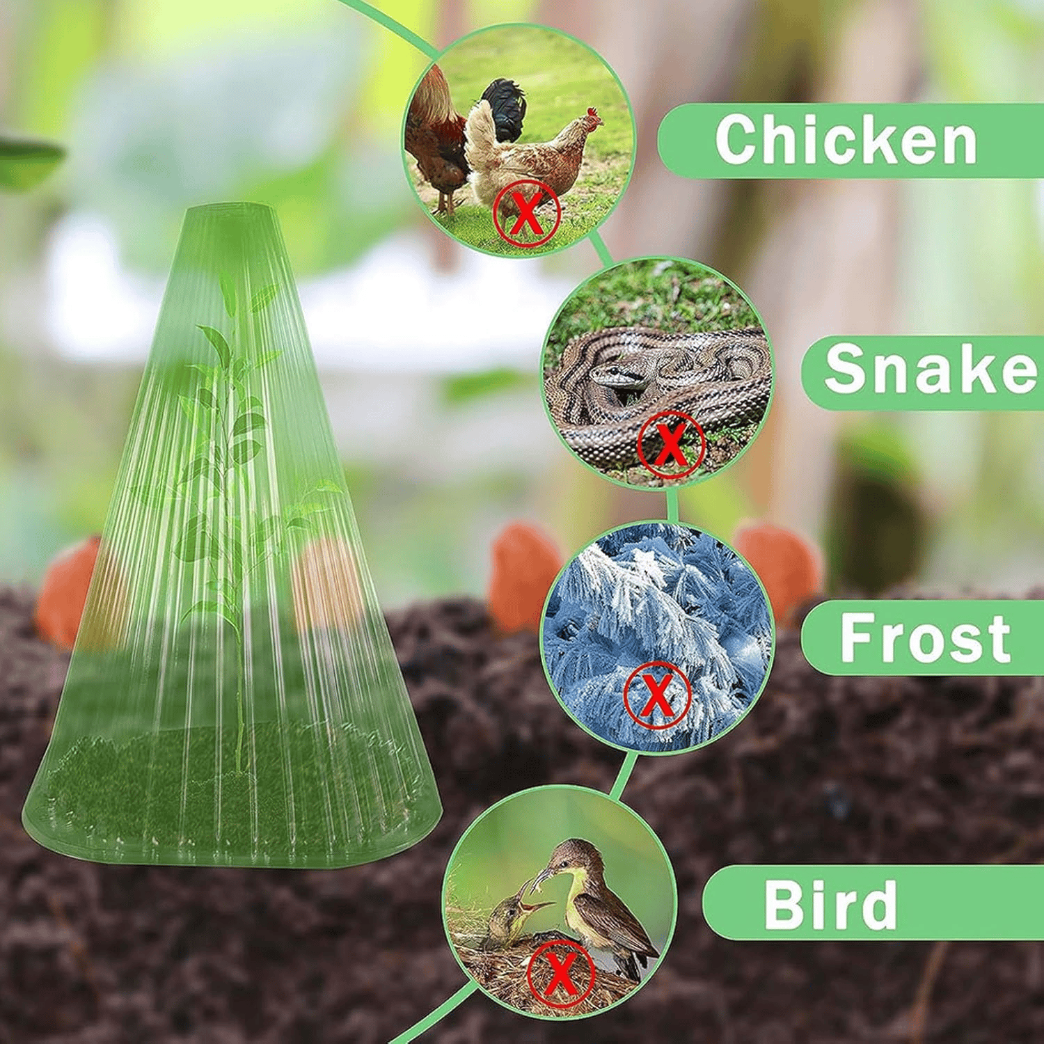 5+5 Free | PlantShield™ — Defend and Boost Plant Growth Fast!