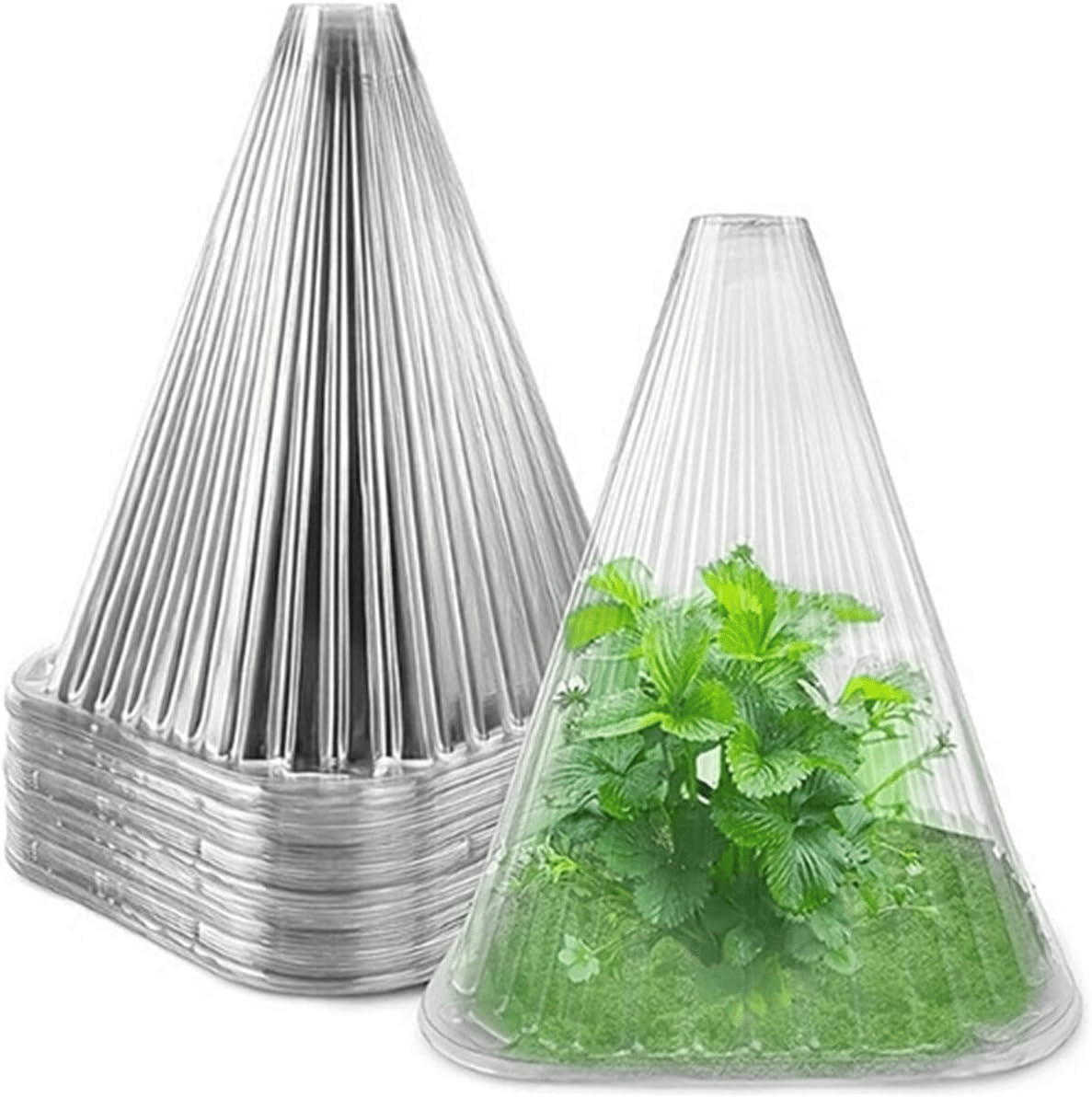 5+5 Free | PlantShield™ — Defend and Boost Plant Growth Fast!