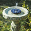 AquaBloom™ — Transform Your Garden into a Bird Paradise | 50% Off
