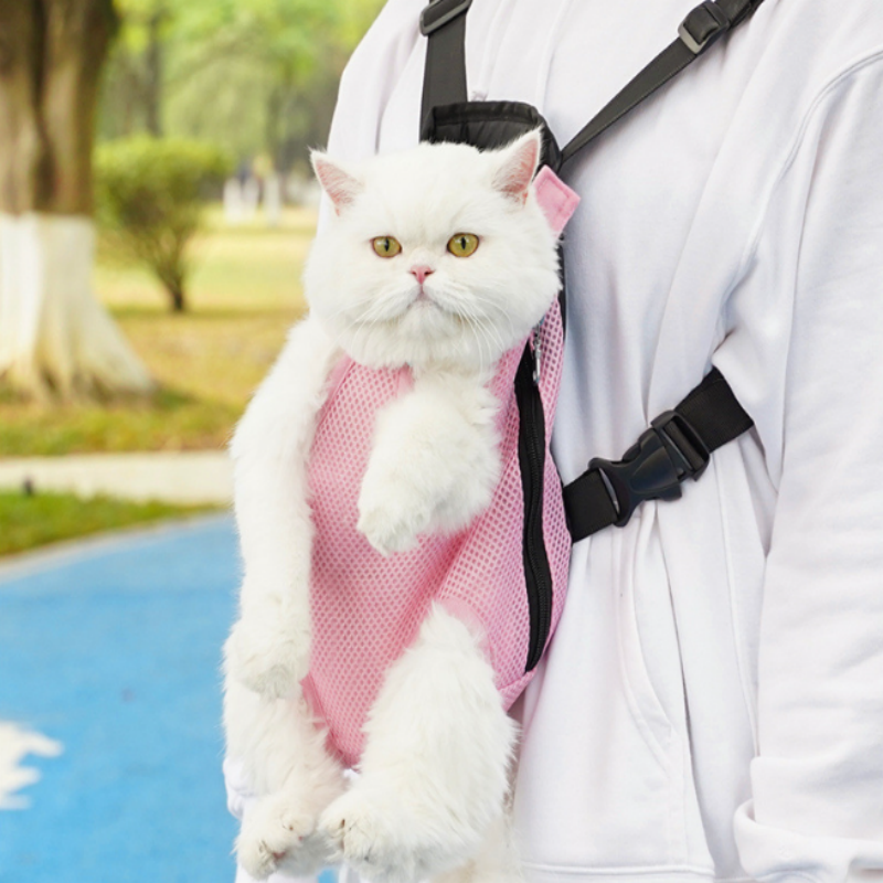 50% OFF | PetCloud – Comfort on the go, wherever you go!