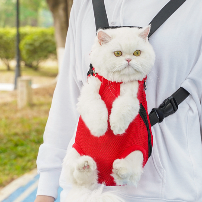 50% OFF | PetCloud – Comfort on the go, wherever you go!